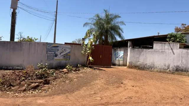 Portão de Acesso Seguro e Paisagismo com Palmeiras